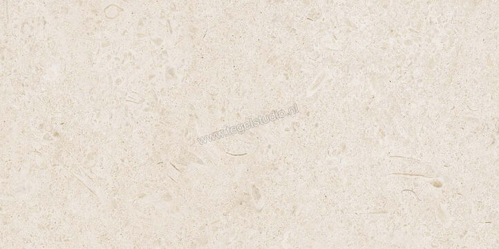  Ragno Eterna Blanco 30x60 cm Vloertegel / Wandtegel Mat Vlak Naturale R8JZ | 366145