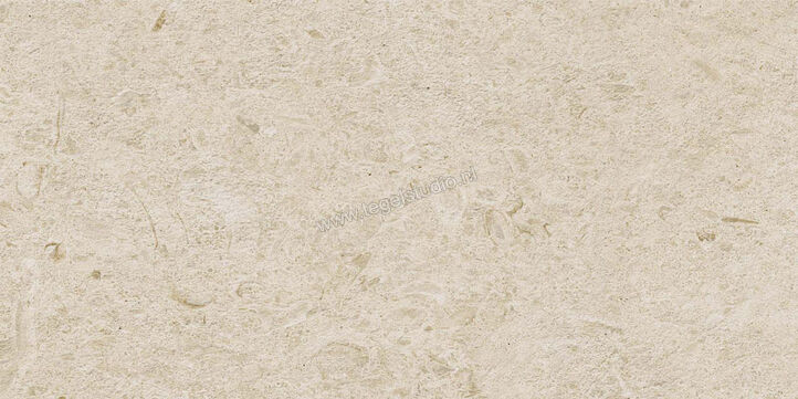  Ragno Eterna Arena 30x60 cm Vloertegel / Wandtegel Mat Vlak Naturale R8K0 | 366169