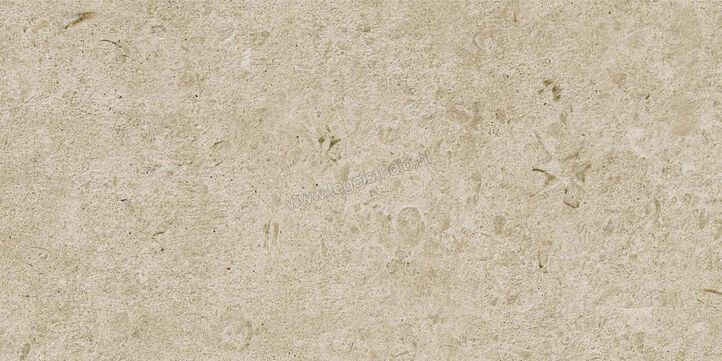  Ragno Eterna Greige 30x60 cm Vloertegel / Wandtegel Mat Vlak Naturale R8K1 | 366196