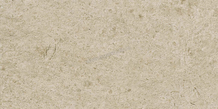  Ragno Eterna Greige 30x60 cm Vloertegel / Wandtegel Mat Vlak Naturale R8K1 | 366211