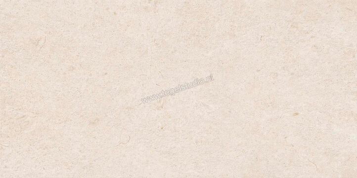  Ragno Eterna Blanco 60x120 cm Vloertegel / Wandtegel Strutturato Mat Gestructureerd Naturale R8K8 | 366289