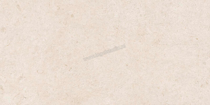  Ragno Eterna Blanco 60x120 cm Vloertegel / Wandtegel Strutturato Mat Gestructureerd Naturale R8K8 | 366292