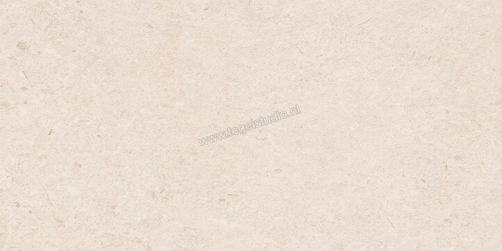  Ragno Eterna Blanco 60x120 cm Vloertegel / Wandtegel Strutturato Mat Gestructureerd Naturale R8K8 | 366295