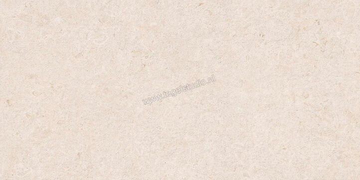  Ragno Eterna Blanco 60x120 cm Vloertegel / Wandtegel Strutturato Mat Gestructureerd Naturale R8K8 | 366301