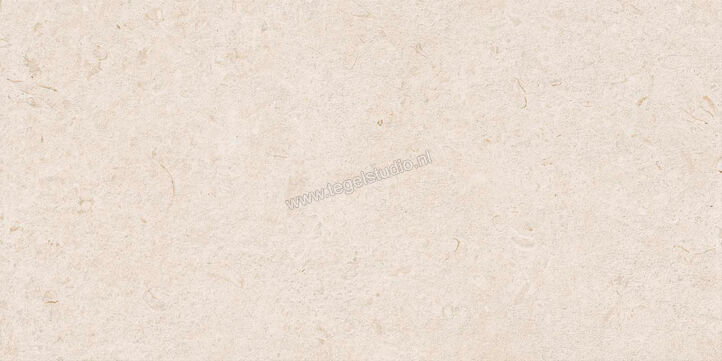  Ragno Eterna Blanco 60x120 cm Vloertegel / Wandtegel Strutturato Mat Gestructureerd Naturale R8K8 | 366304