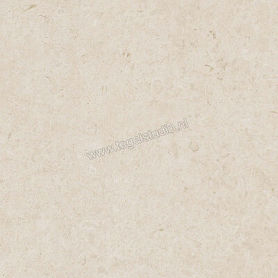  Ragno Eterna Blanco 60x60 cm Vloertegel / Wandtegel Strutturato Mat Gestructureerd Naturale R8KA | 366325