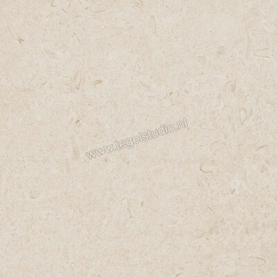 Ragno Eterna Blanco 60x60 cm Vloertegel / Wandtegel Strutturato Mat Gestructureerd Naturale R8KA | 366331
