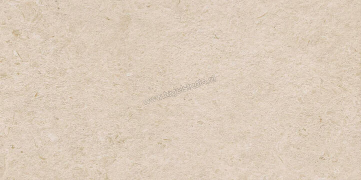  Ragno Eterna Arena 60x120 cm Vloertegel / Wandtegel Strutturato Mat Gestructureerd Naturale R8KD | 366346