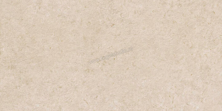  Ragno Eterna Arena 60x120 cm Vloertegel / Wandtegel Strutturato Mat Gestructureerd Naturale R8KD | 366349