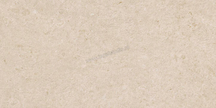  Ragno Eterna Arena 60x120 cm Vloertegel / Wandtegel Strutturato Mat Gestructureerd Naturale R8KD | 366352