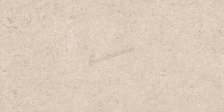  Ragno Eterna Arena 60x120 cm Vloertegel / Wandtegel Strutturato Mat Gestructureerd Naturale R8KD | 366355