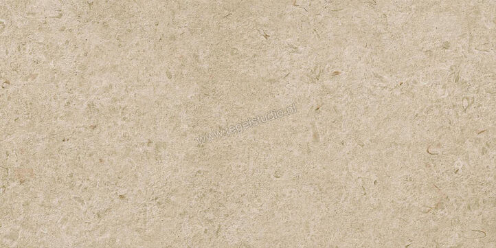  Ragno Eterna Greige 60x120 cm Vloertegel / Wandtegel Strutturato Mat Gestructureerd Naturale R8KE | 366358