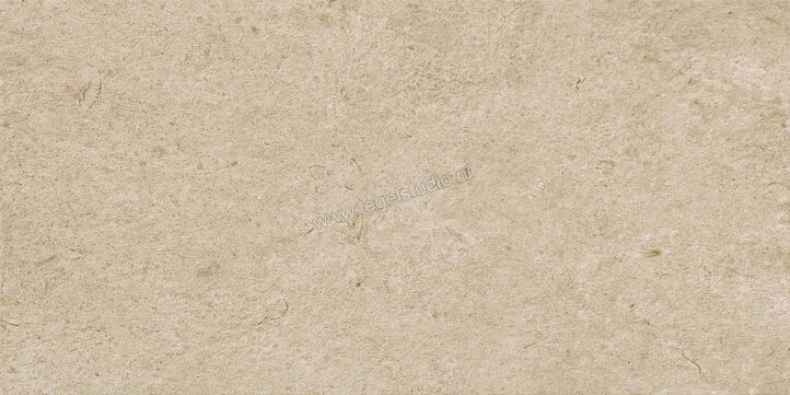  Ragno Eterna Greige 60x120 cm Vloertegel / Wandtegel Strutturato Mat Gestructureerd Naturale R8KE | 366361