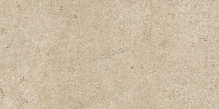  Ragno Eterna Greige 60x120 cm Vloertegel / Wandtegel Strutturato Mat Gestructureerd Naturale R8KE | 366364