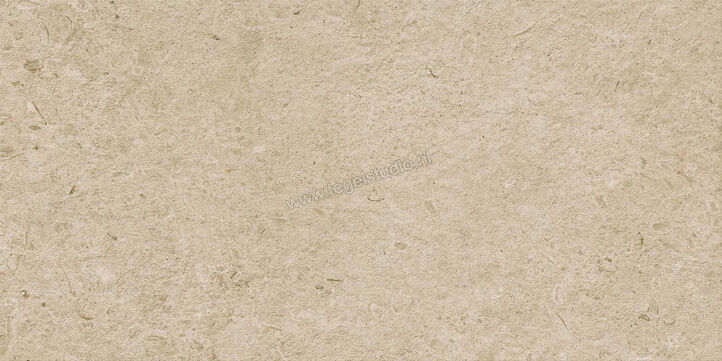  Ragno Eterna Greige 60x120 cm Vloertegel / Wandtegel Strutturato Mat Gestructureerd Naturale R8KE | 366367