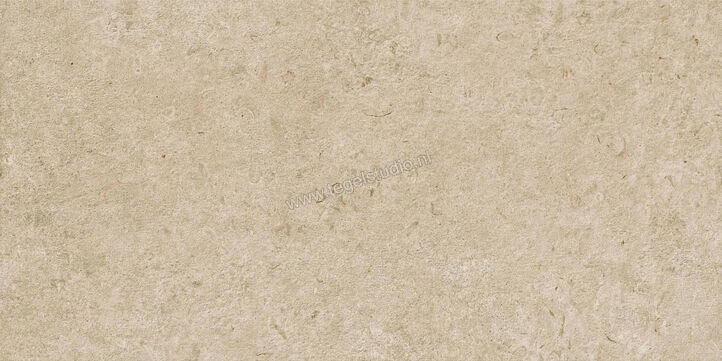  Ragno Eterna Greige 60x120 cm Vloertegel / Wandtegel Strutturato Mat Gestructureerd Naturale R8KE | 366370