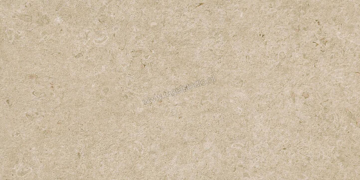  Ragno Eterna Greige 60x120 cm Vloertegel / Wandtegel Strutturato Mat Gestructureerd Naturale R8KE | 366373