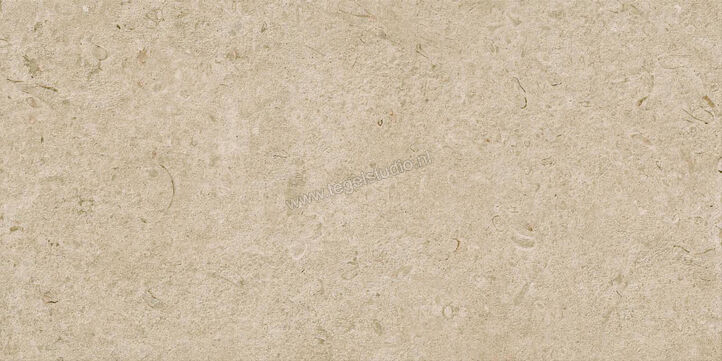  Ragno Eterna Greige 60x120 cm Vloertegel / Wandtegel Strutturato Mat Gestructureerd Naturale R8KE | 366376