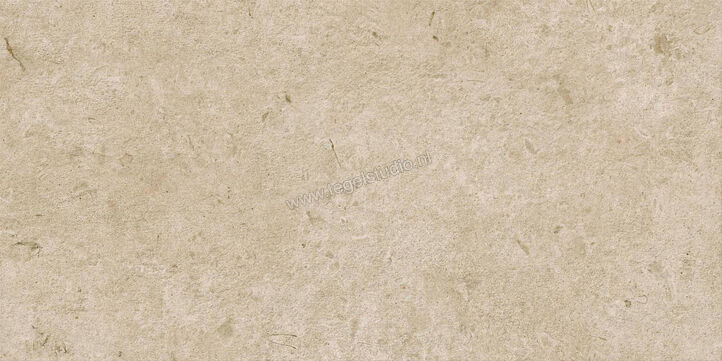 Ragno Eterna Greige 60x120 cm Vloertegel / Wandtegel Strutturato Mat Gestructureerd Naturale R8KE | 366379