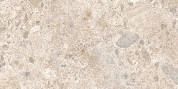  Ragno Eterna Mix Multicolor 60x120 cm Vloertegel / Wandtegel Strutturato Mat Gestructureerd Naturale R8KF | 366388