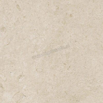  Ragno Eterna Arena 60x60 cm Vloertegel / Wandtegel Strutturato Mat Gestructureerd Naturale R8KK | 366454