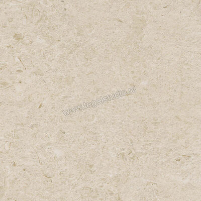  Ragno Eterna Arena 60x60 cm Vloertegel / Wandtegel Strutturato Mat Gestructureerd Naturale R8KK | 366457