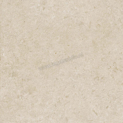  Ragno Eterna Arena 60x60 cm Vloertegel / Wandtegel Strutturato Mat Gestructureerd Naturale R8KK | 366460