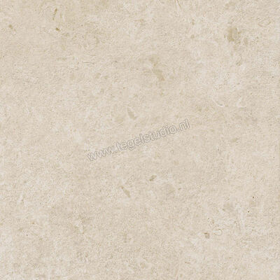  Ragno Eterna Arena 60x60 cm Vloertegel / Wandtegel Strutturato Mat Gestructureerd Naturale R8KK | 366469
