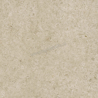  Ragno Eterna Greige 60x60 cm Vloertegel / Wandtegel Strutturato Mat Gestructureerd Naturale R8KL | 366478
