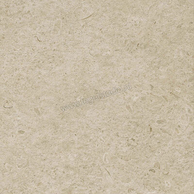  Ragno Eterna Greige 60x60 cm Vloertegel / Wandtegel Strutturato Mat Gestructureerd Naturale R8KL | 366481