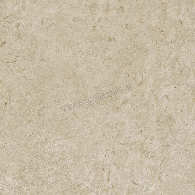  Ragno Eterna Greige 60x60 cm Vloertegel / Wandtegel Strutturato Mat Gestructureerd Naturale R8KL | 366484