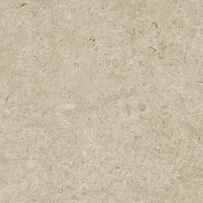  Ragno Eterna Greige 60x60 cm Vloertegel / Wandtegel Strutturato Mat Gestructureerd Naturale R8KL | 366487
