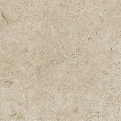  Ragno Eterna Greige 60x60 cm Vloertegel / Wandtegel Strutturato Mat Gestructureerd Naturale R8KL | 366493