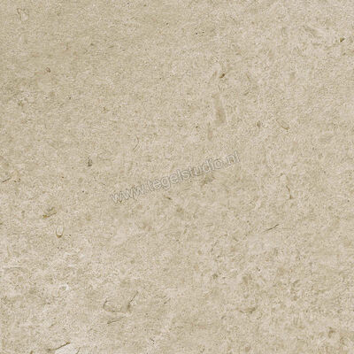  Ragno Eterna Greige 60x60 cm Vloertegel / Wandtegel Strutturato Mat Gestructureerd Naturale R8KL | 366496