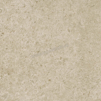  Ragno Eterna Greige 60x60 cm Vloertegel / Wandtegel Strutturato Mat Gestructureerd Naturale R8KL | 366499