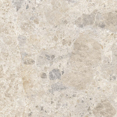  Ragno Eterna Mix Multicolor 60x60 cm Vloertegel / Wandtegel Strutturato Mat Gestructureerd Naturale R8KM | 366541