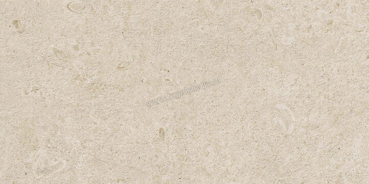  Ragno Eterna Arena 30x60 cm Vloertegel / Wandtegel Strutturato Mat Gestructureerd Naturale R8KS | 366619