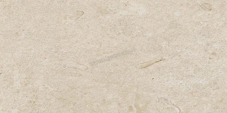  Ragno Eterna Arena 30x60 cm Vloertegel / Wandtegel Strutturato Mat Gestructureerd Naturale R8KS | 366628