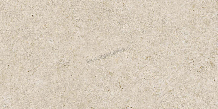  Ragno Eterna Arena 30x60 cm Vloertegel / Wandtegel Strutturato Mat Gestructureerd Naturale R8KS | 366637