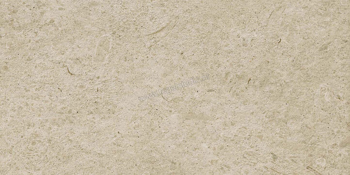  Ragno Eterna Greige 30x60 cm Vloertegel / Wandtegel Strutturato Mat Gestructureerd Naturale R8KT | 366640