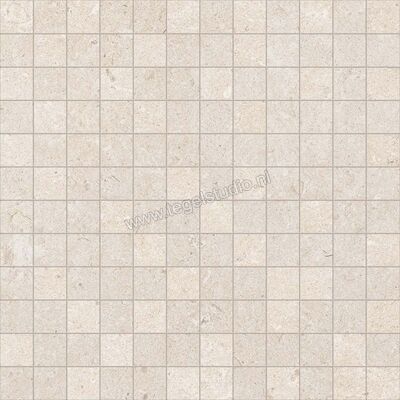 Ragno Eterna Blanco 30x30 cm Mozaiek Mat Vlak Naturale R8KY | 366736