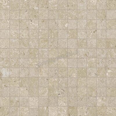  Ragno Eterna Greige 30x30 cm Mozaiek Mat Vlak Naturale R8LA | 366742