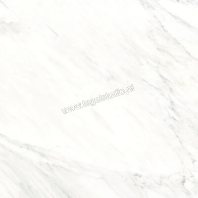  Ragno Incanto Calacatta Essenza 60x60 cm Vloertegel / Wandtegel Mat Vlak Naturale RCJ0 | 367069