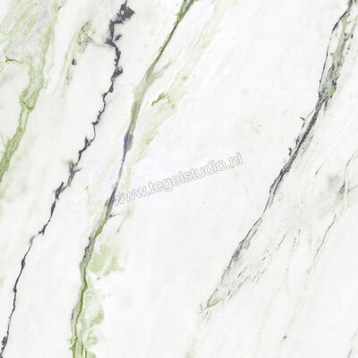  Ragno Incanto Calacatta Green 60x60 cm Vloertegel / Wandtegel Mat Vlak Naturale RCHG | 367261