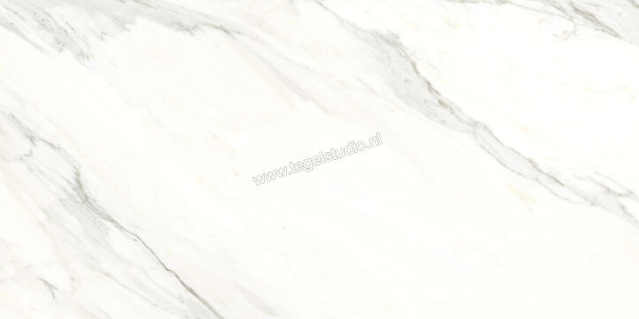  Ragno Incanto Calacatta Essenza 60x120 cm Vloertegel / Wandtegel Mat Vlak Naturale RCHC | 367294