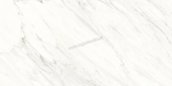  Ragno Incanto Calacatta Essenza 60x120 cm Vloertegel / Wandtegel Mat Vlak Naturale RCHC | 367297