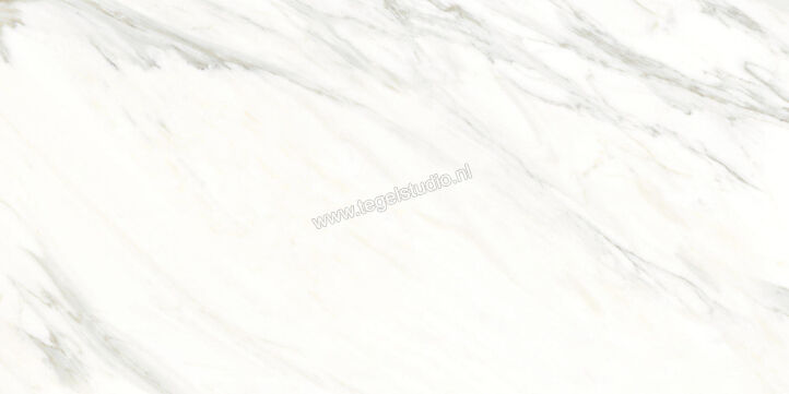  Ragno Incanto Calacatta Essenza 60x120 cm Vloertegel / Wandtegel Mat Vlak Naturale RCHC | 367315