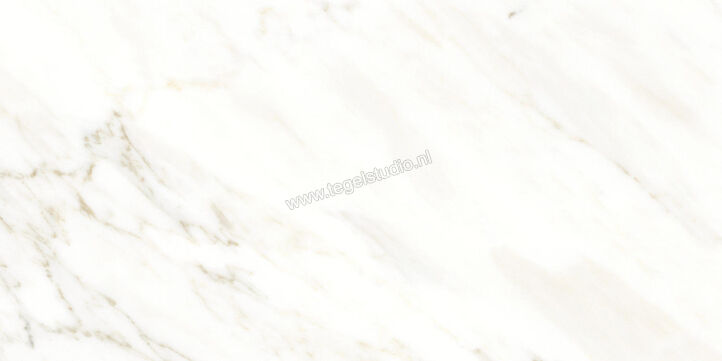  Ragno Incanto Calacatta Essenza 30x60 cm Vloertegel / Wandtegel Glanzend Vlak Naturale RCH4 | 367450