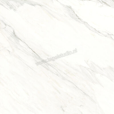  Ragno Incanto Calacatta Essenza 120x120 cm Vloertegel / Wandtegel Mat Vlak Naturale RCFD | 367486