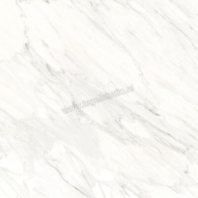  Ragno Incanto Calacatta Essenza 120x120 cm Vloertegel / Wandtegel Mat Vlak Naturale RCFD | 367489